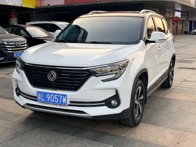 DONGFENG POPULAR T5