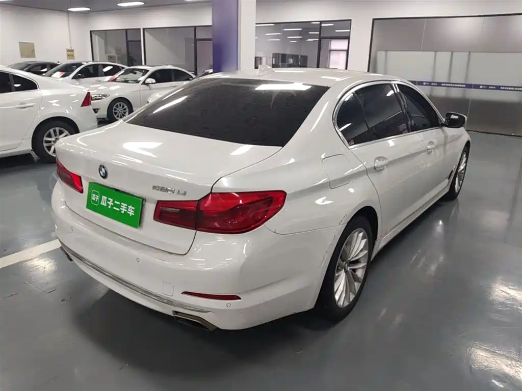 BMW 5 Series 2019 525Li Luxury Package фото 7