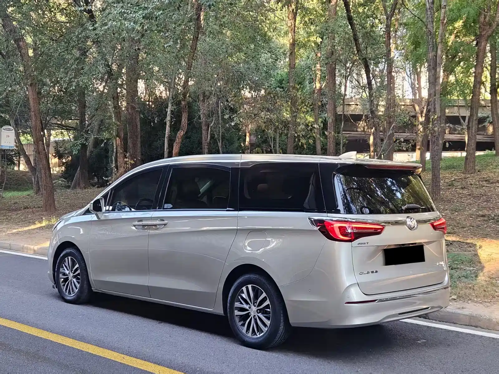 Фото 4 - Buick GL8
