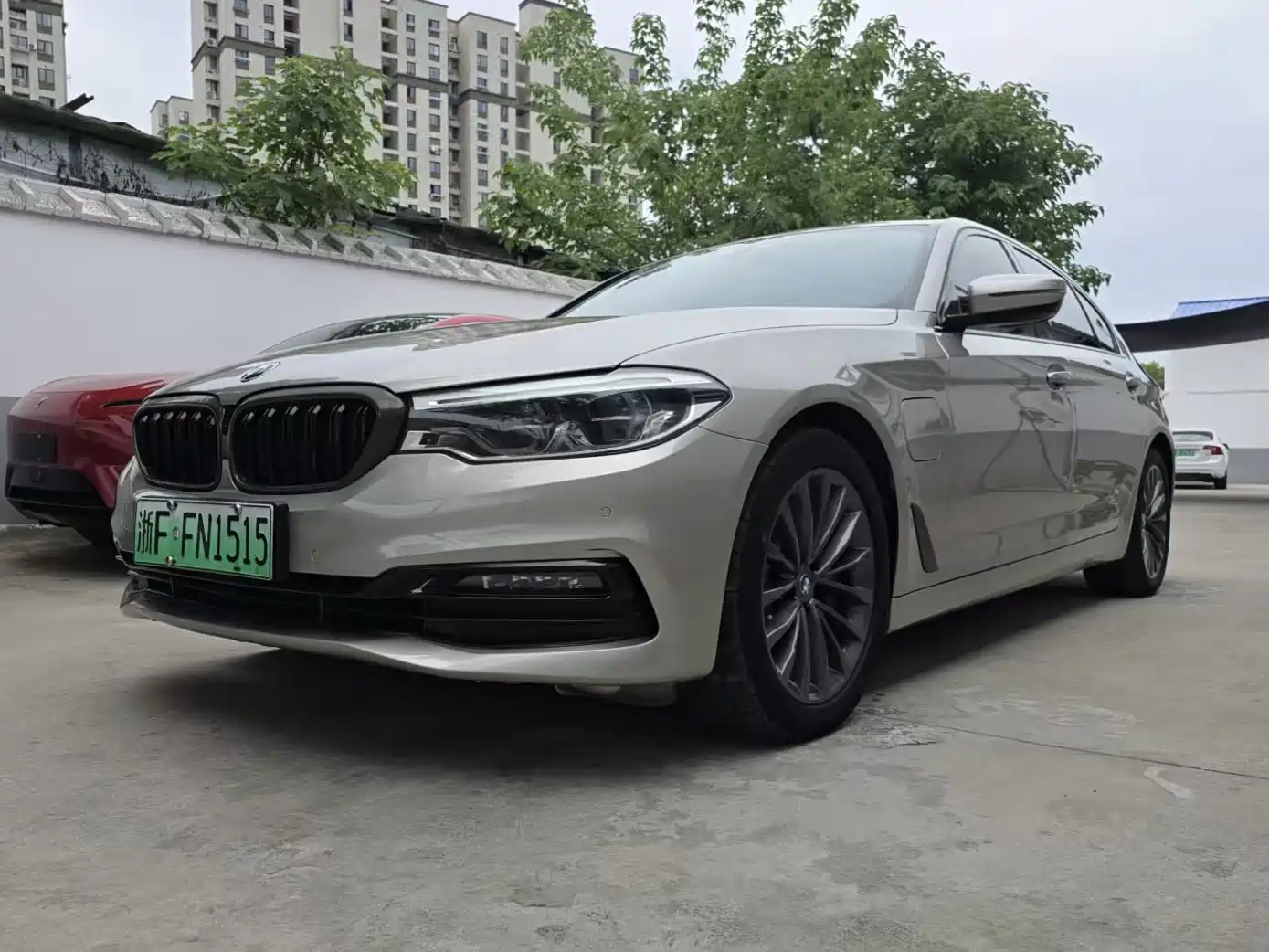 BMW 5 Series New Energy 2019 530Le Luxury Package