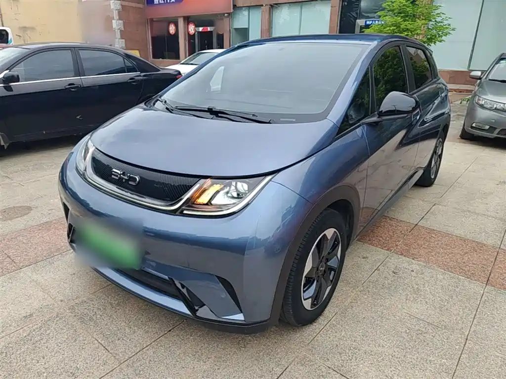 BYD Dolphin 2024 Glory Edition 420km Freedom Edition