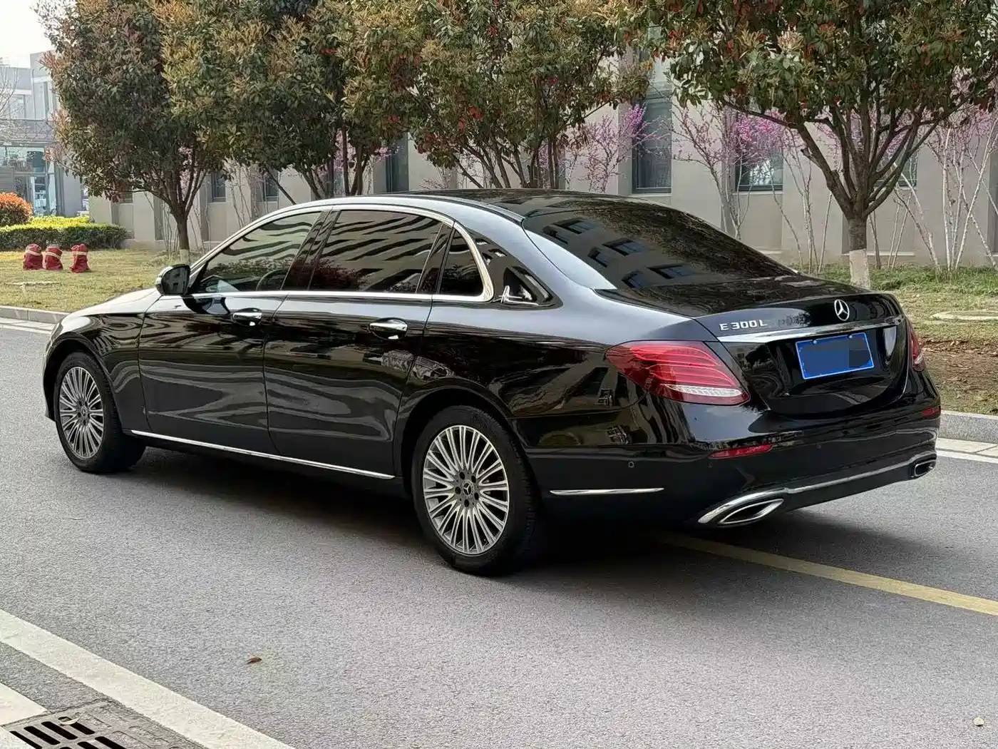 Mercedes-Benz E-Class 2020 E 300 L Luxury Model фото 6
