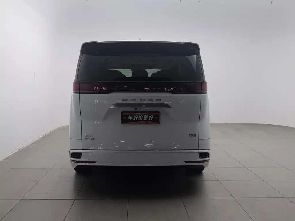 Фото 4 - Denza D9