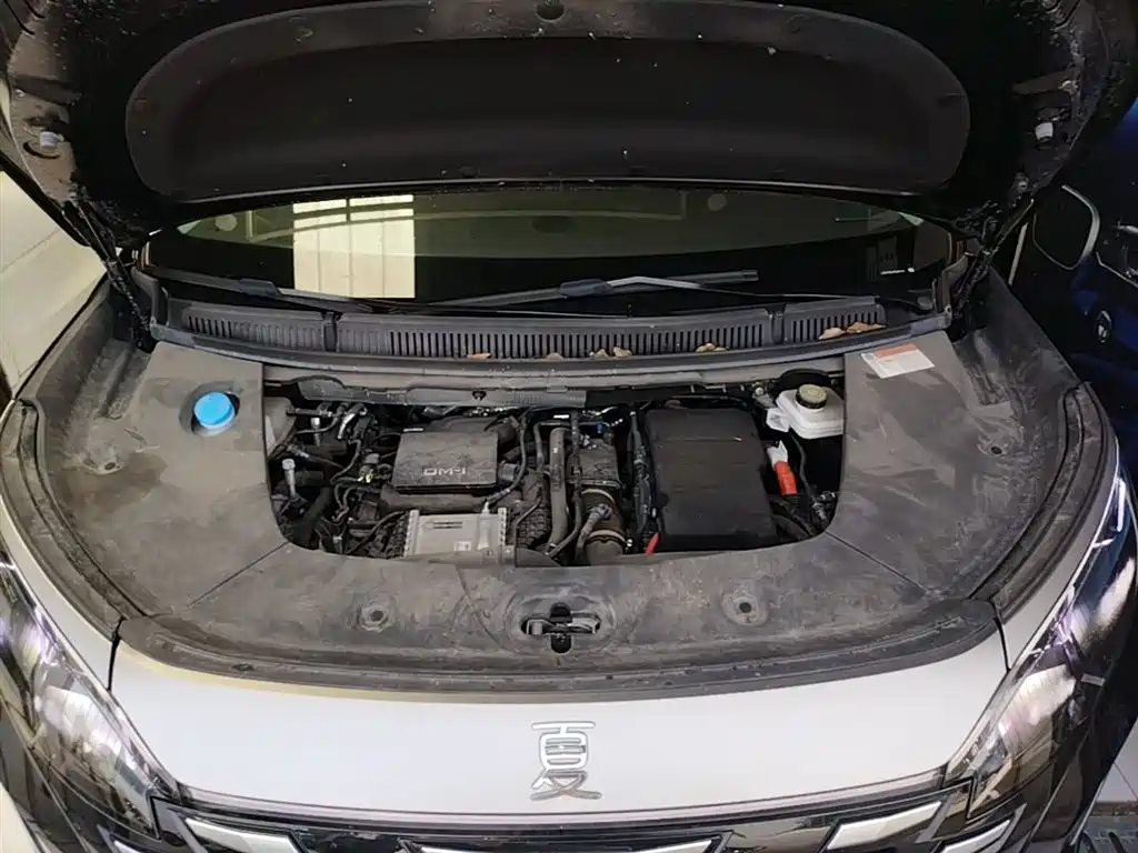 BYD Xia 2025 DM-i 1.5T 180km Surpass Edition фото 16