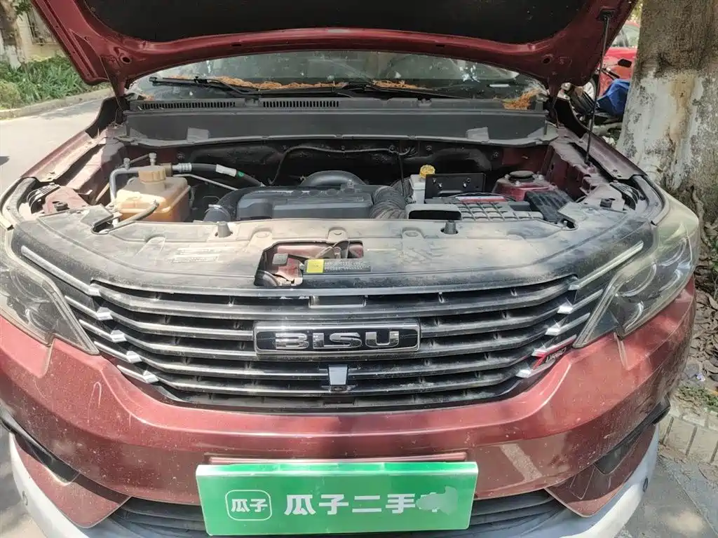 Bisu Auto Bisu T3 2019 2017 1.3T Manual Premium