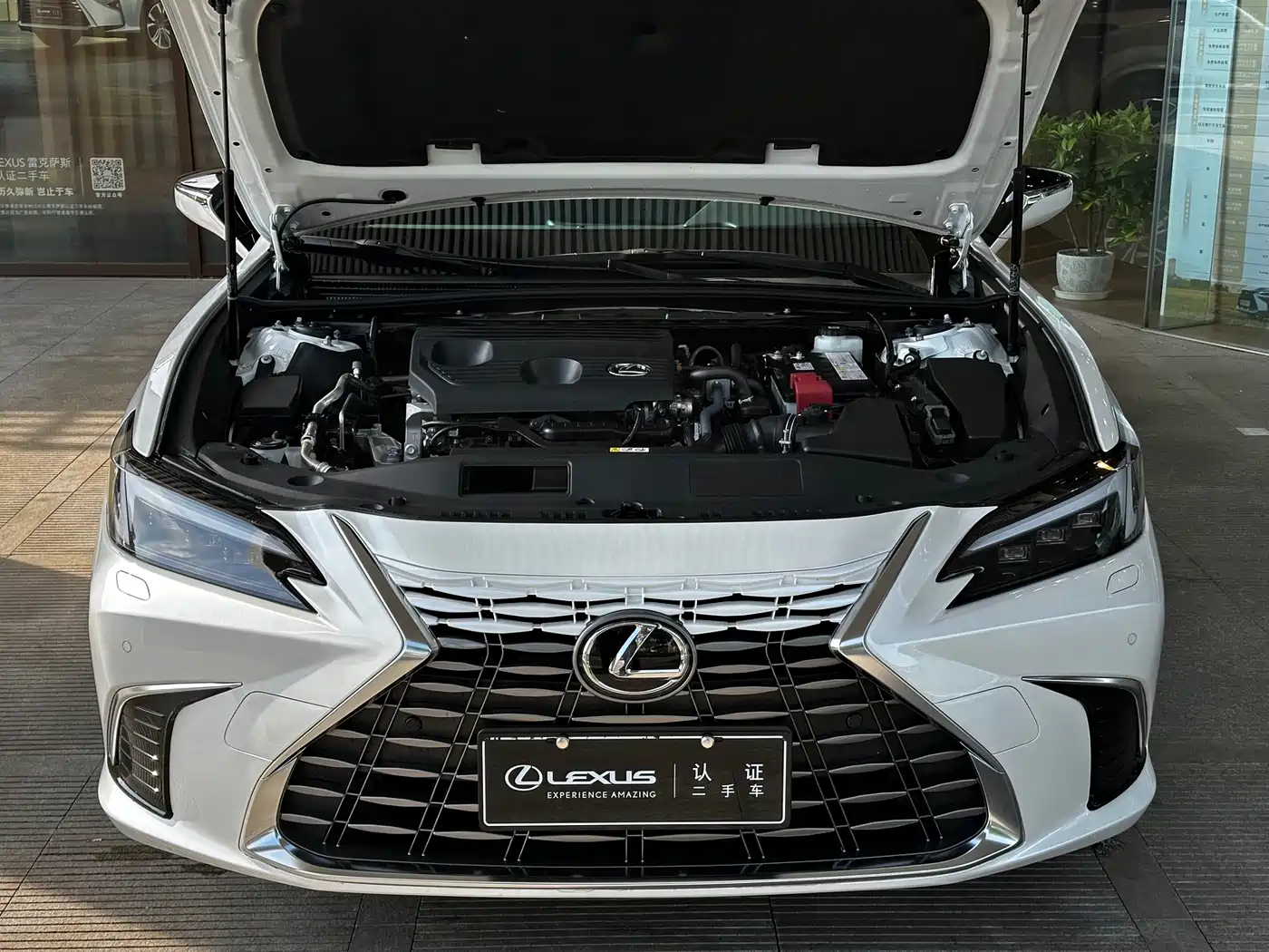 Lexus ES 2025 200 Ultimate Edition фото 8