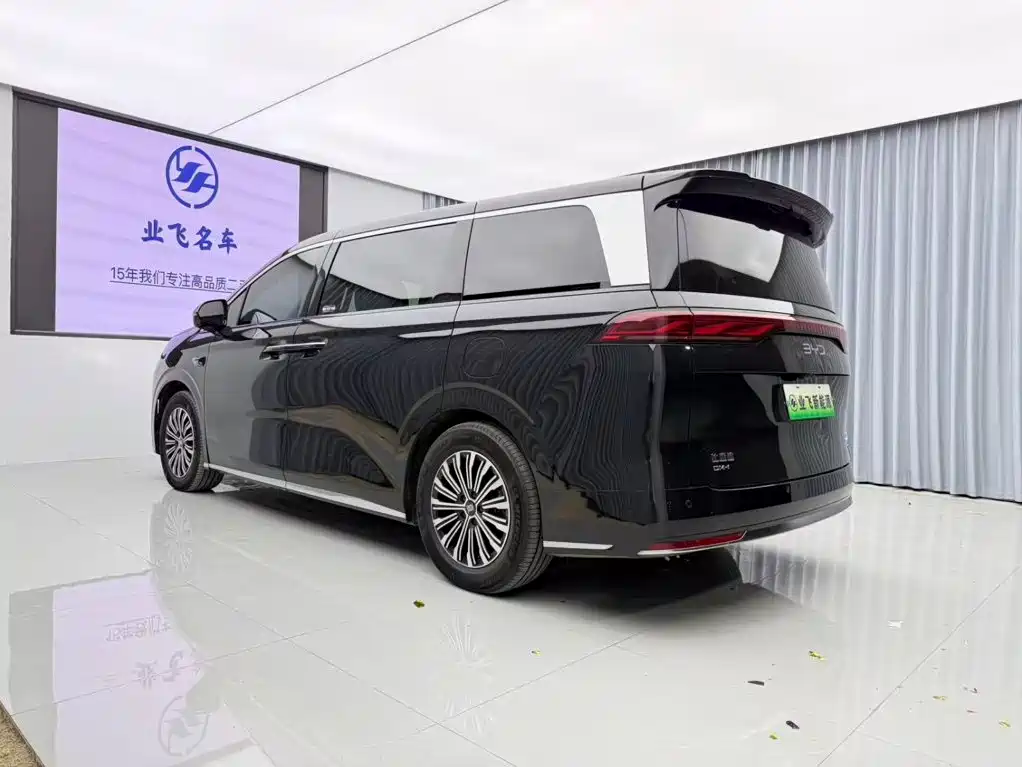 Photo 6 - BYD Xia