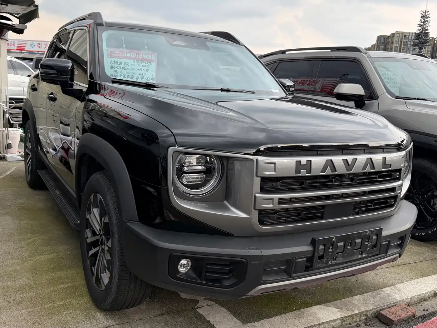Haval Dargo 2025 2024 1.5T DCT Border Collie Edition