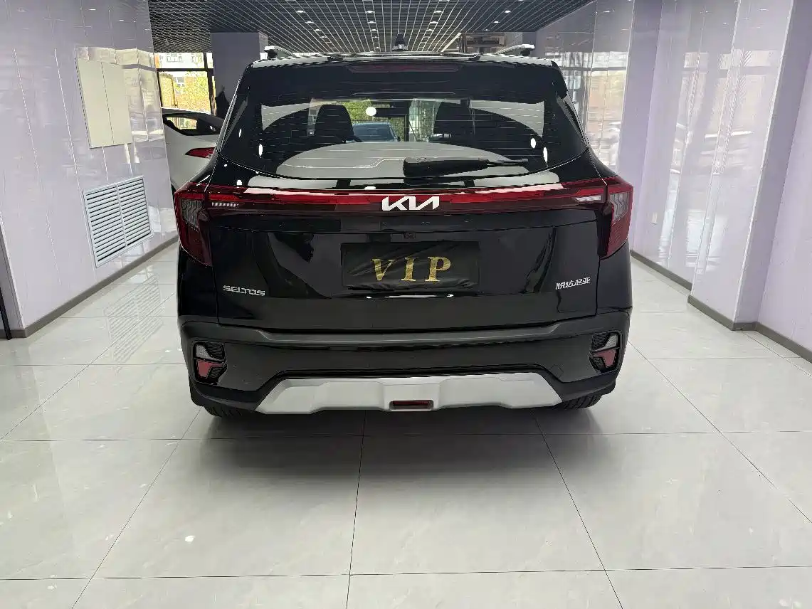 Kia Seltos 2023 1.5L CVT Luxury Edition фото 3