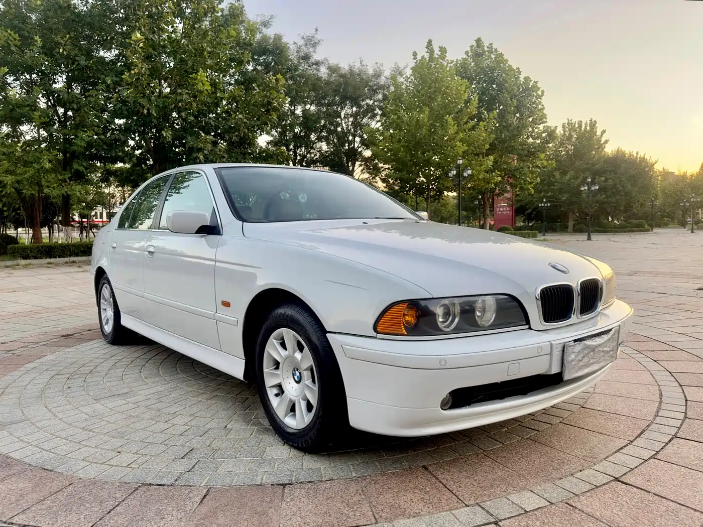 BMW 5 Series (Import) 2002