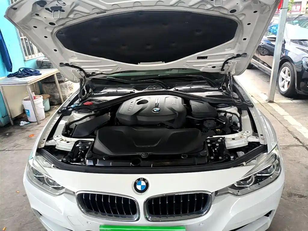 BMW 3 Series 2018 320Li Leading M Sport Package фото 20