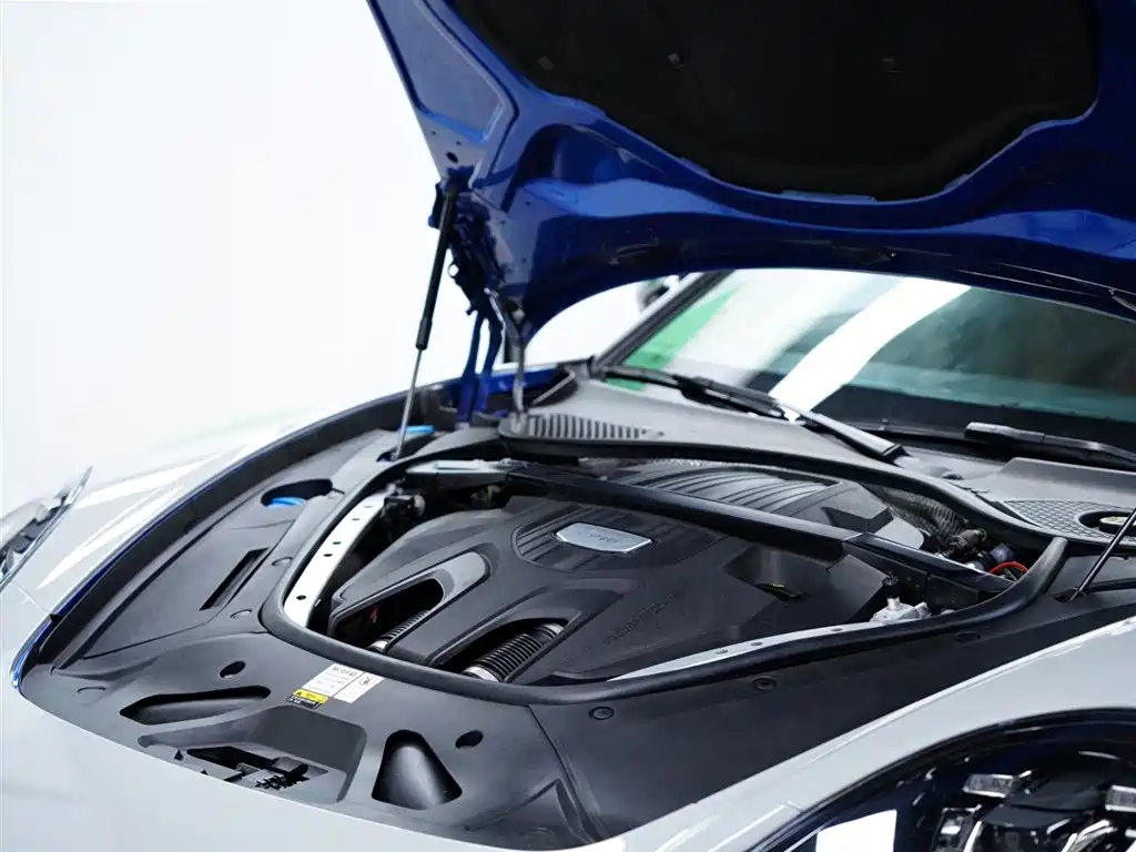 Porsche Panamera 2019 Panamera 2.9T фото 49