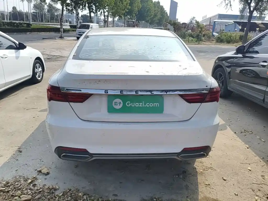 Фото 6 - Geely Binrui