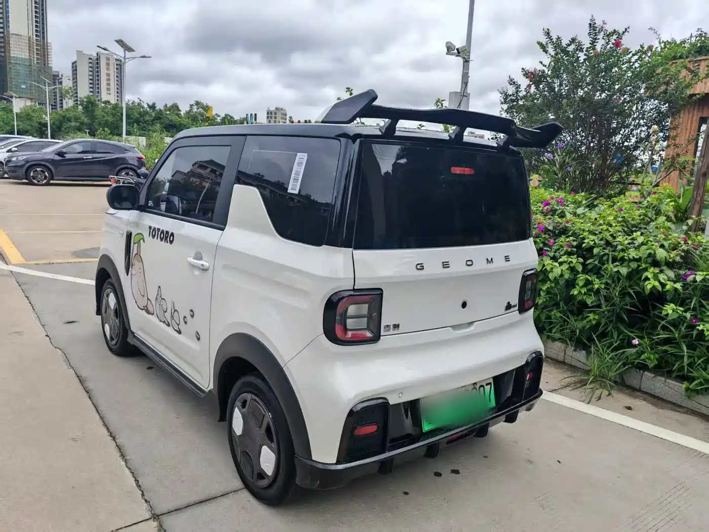 Geely Galaxy Panda 2025 Model Year 210km Panda Kart фото 5