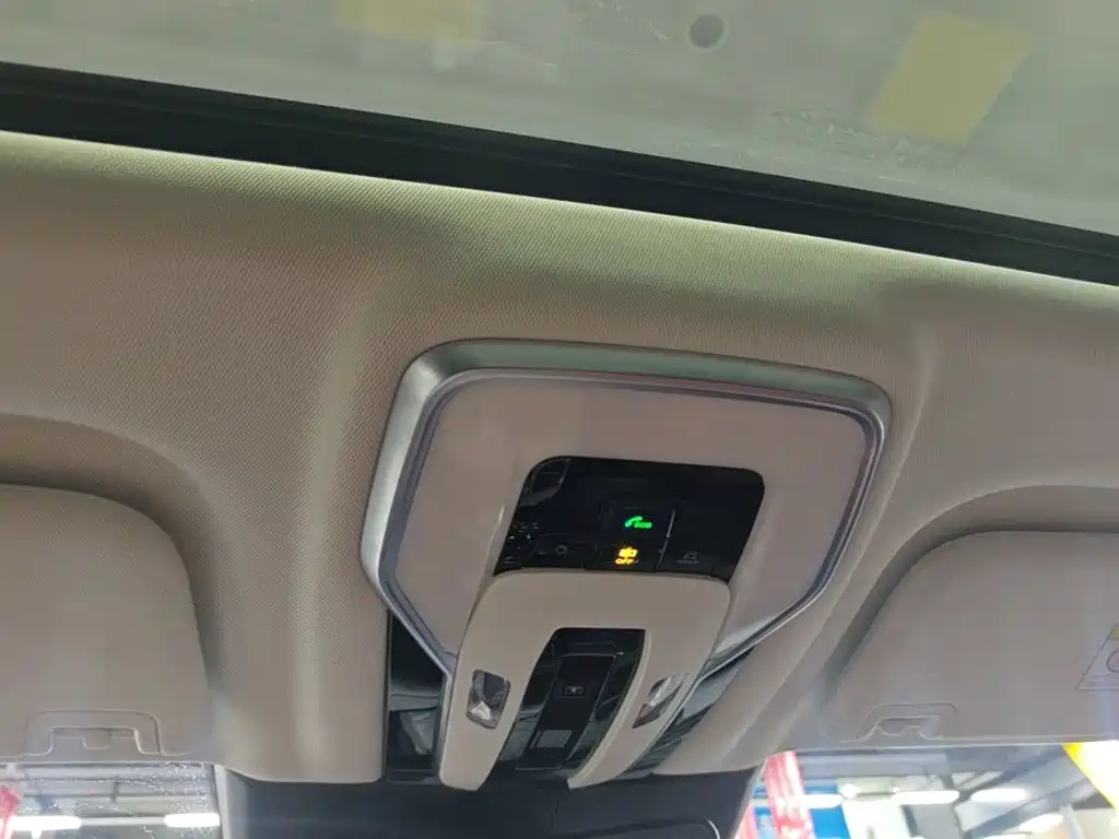 Hongqi E-HS9 2023 2021 460km Flagship Comfort 6-seater
