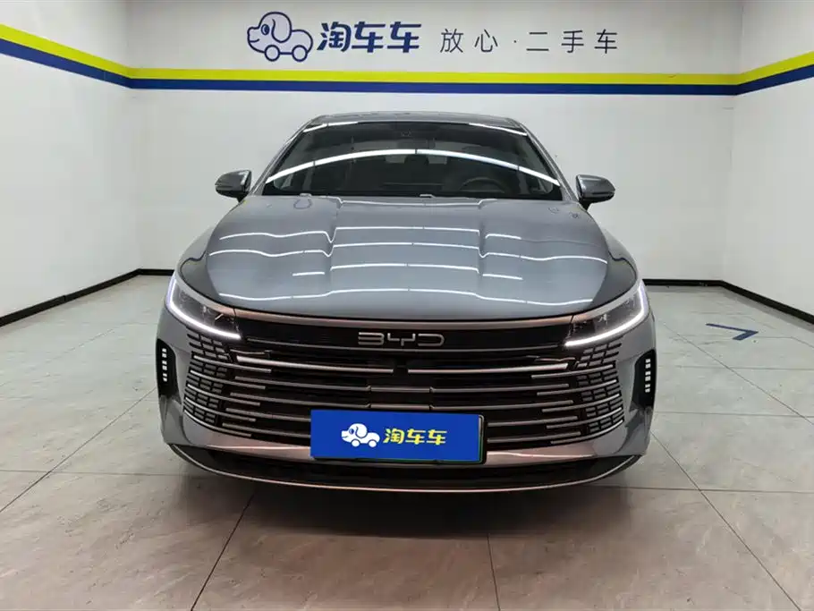 BYD Destroyer 05 2025 2024 Glory Edition DM-i 55KM Luxury