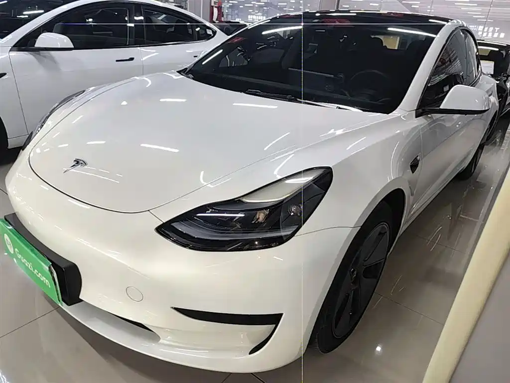 Tesla Model 3 2021 Standard Range Rear-Wheel Drive Upgrade 3D6