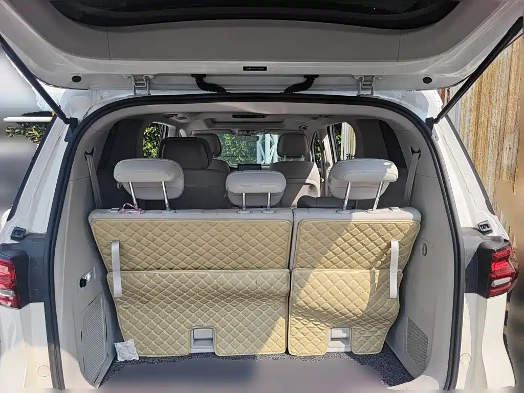 Фото 20 - Roewe iMAX8 EV
