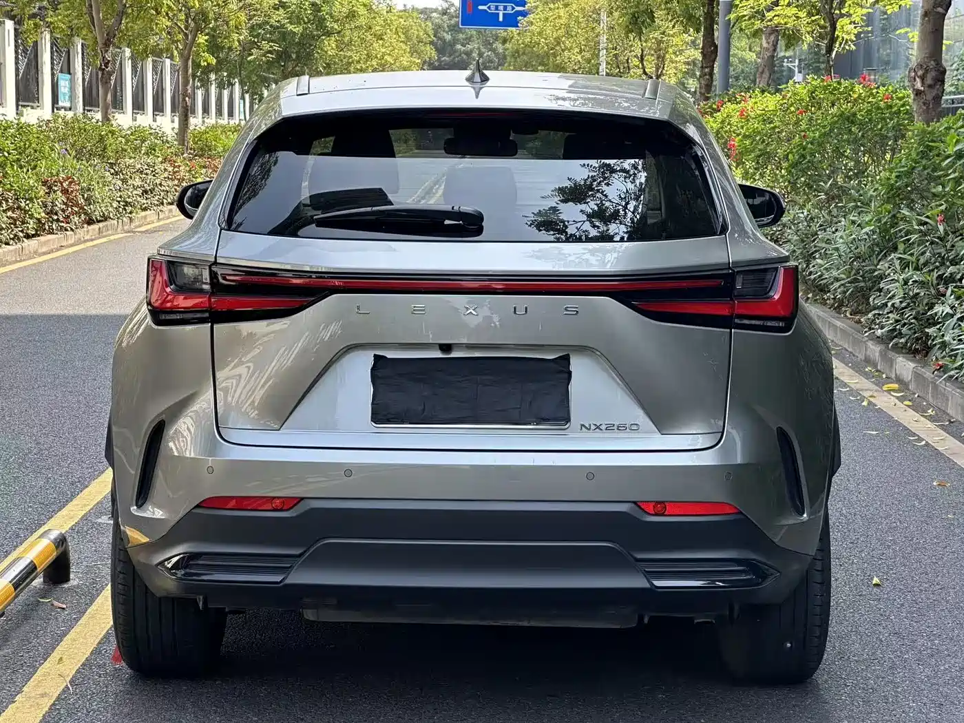 LEXUS NX