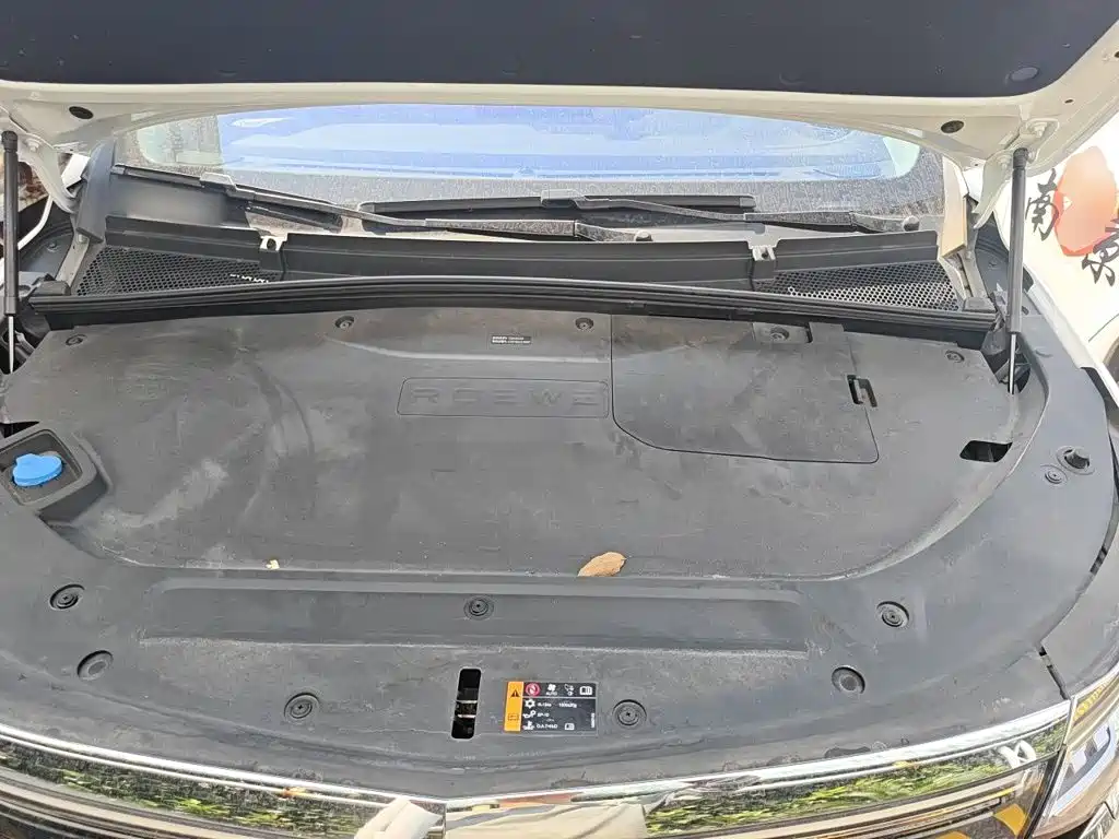 Roewe iMAX8 EV 2026 2022 Gold Edition