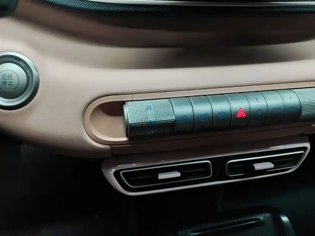 BYD Seagull 2025 305km Vitality фото 14