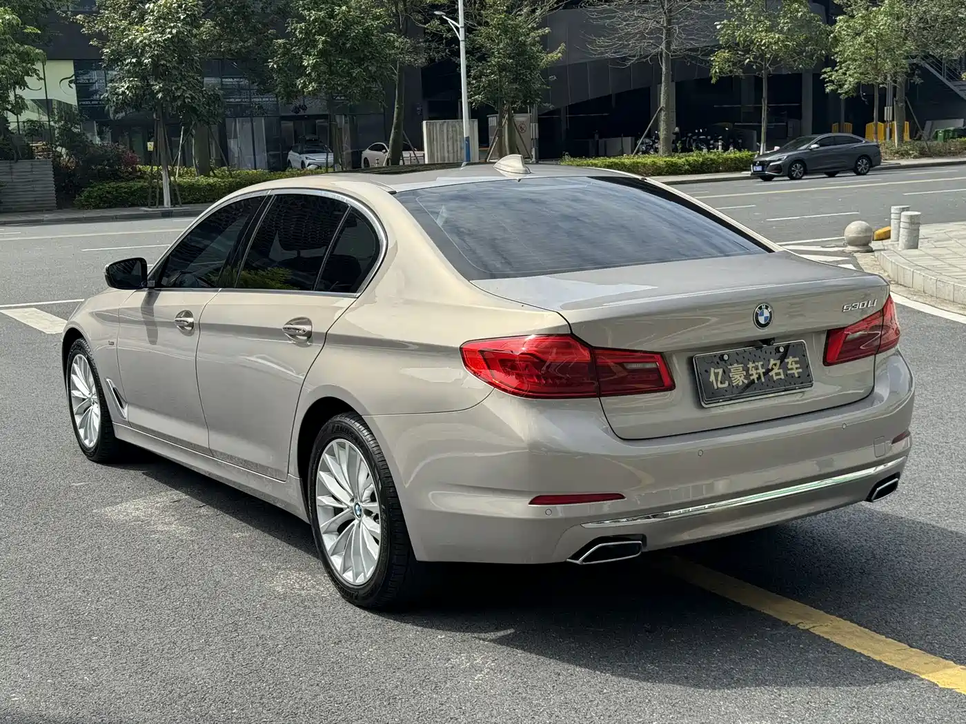 BMW 5 Series 2018 530Li Leading Luxury Package фото 6