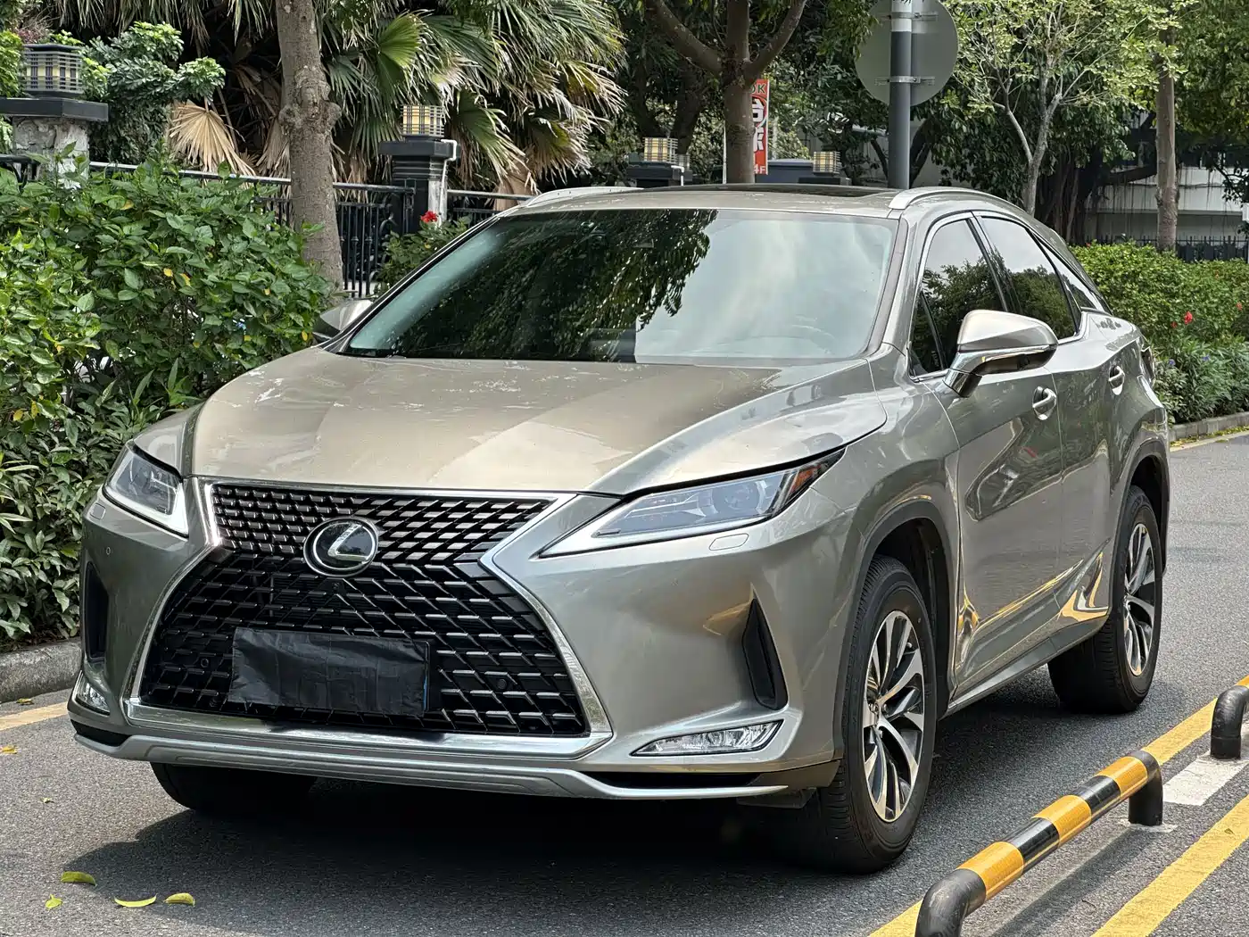 LEXUS RX
