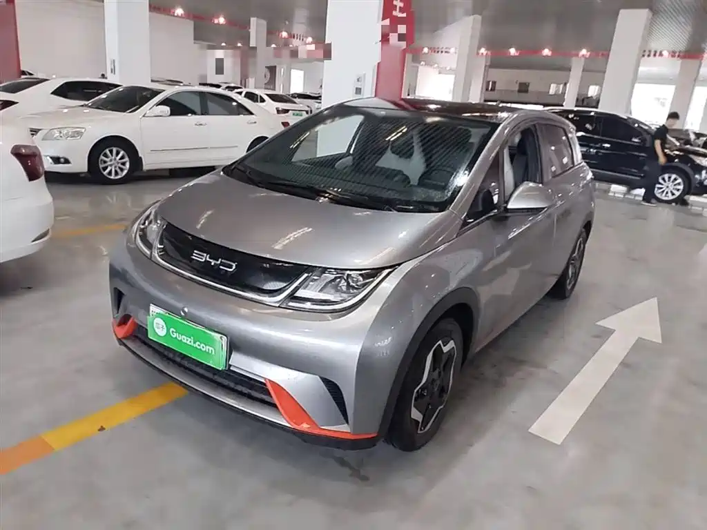 BYD Dolphin 2021 Model 405km Fashion Edition фото 2