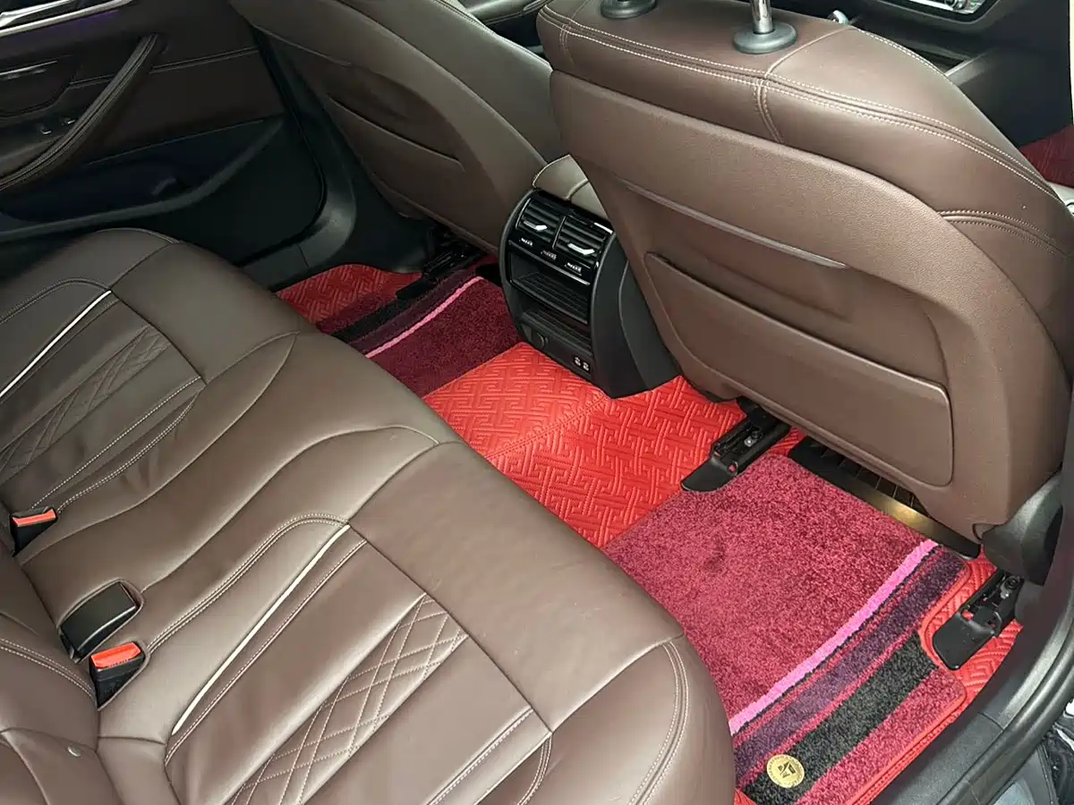 BMW 5 Series 2020 530Li Leading Luxury Package фото 10