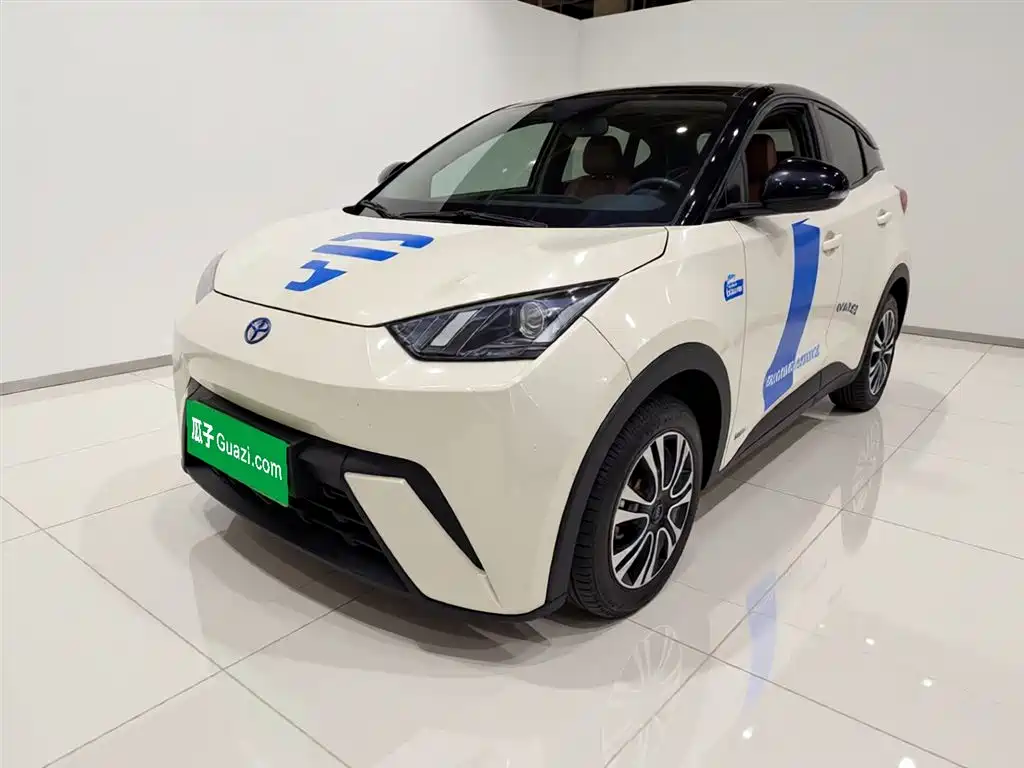 BYD Seagull 2024 Glory Edition 305km Vitality Edition