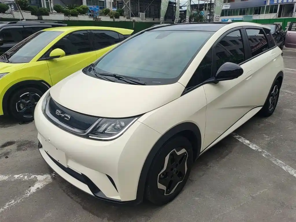 BYD Dolphin 2021 Model 405km Fashion Edition фото 2