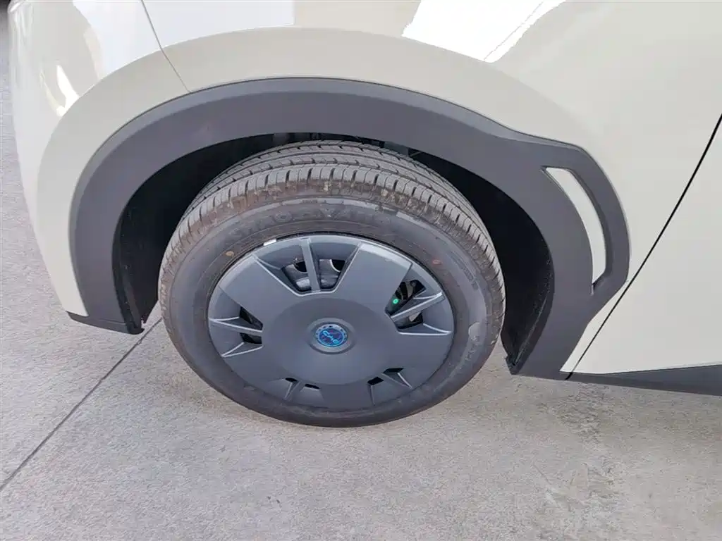 BYD Seagull 2025 Smart Drive Edition 305km Vitality Version фото 23
