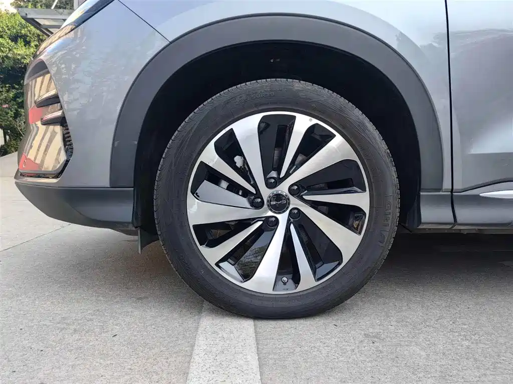 BYD Song PLUS PHEV 2024 Glory Edition EV 520km Premium фото 21