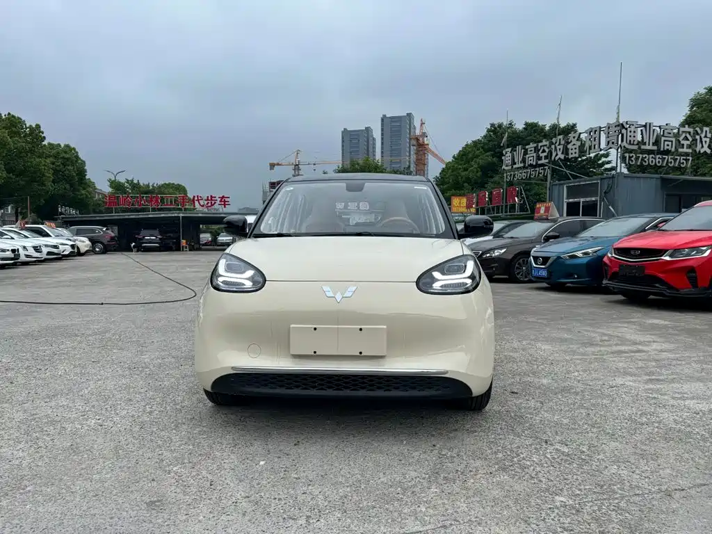 Wuling Motors Wuling Bingo 2026 2025 Model 333km Joy Edition
