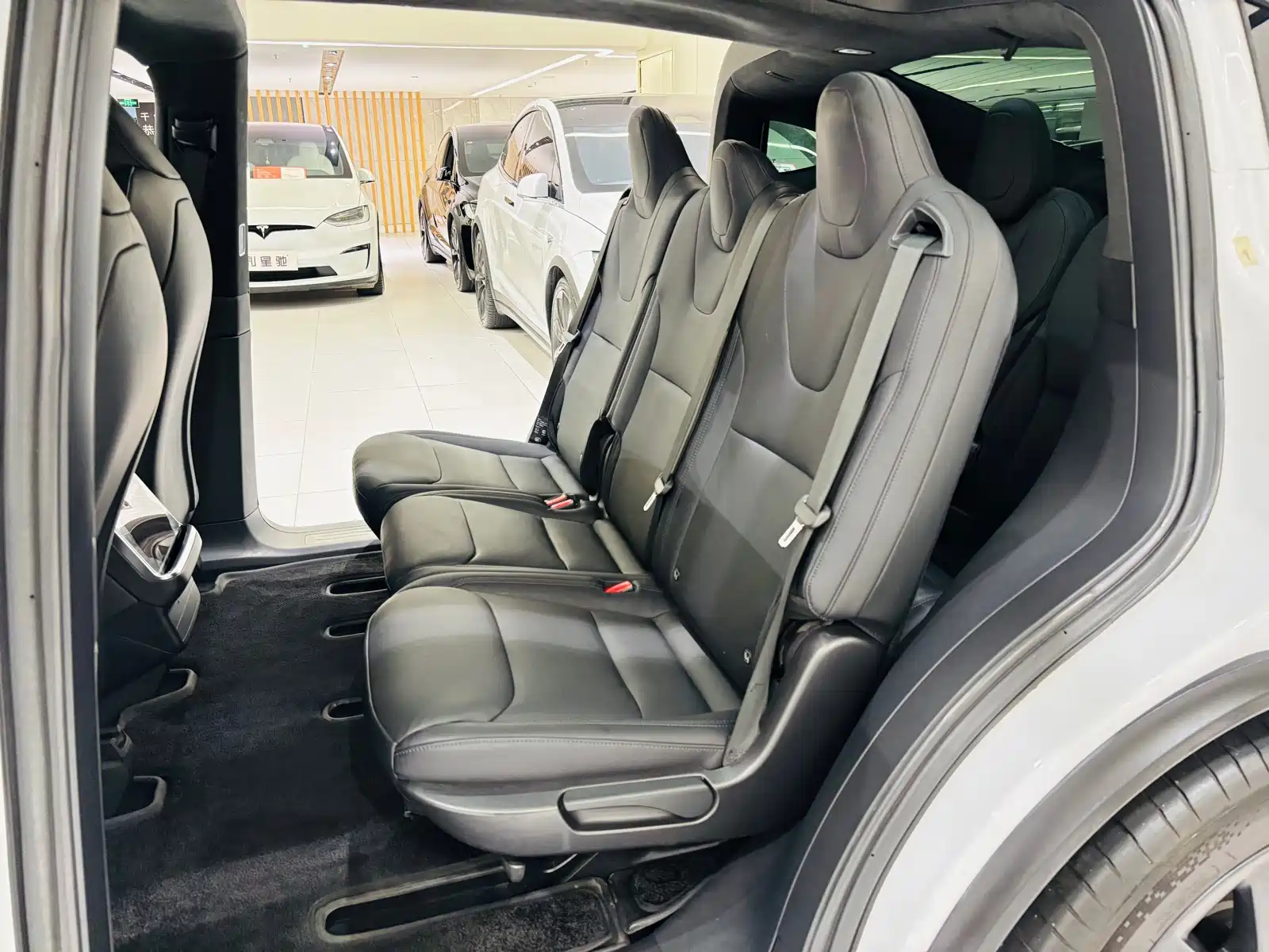 Фото 24 - Tesla Model X