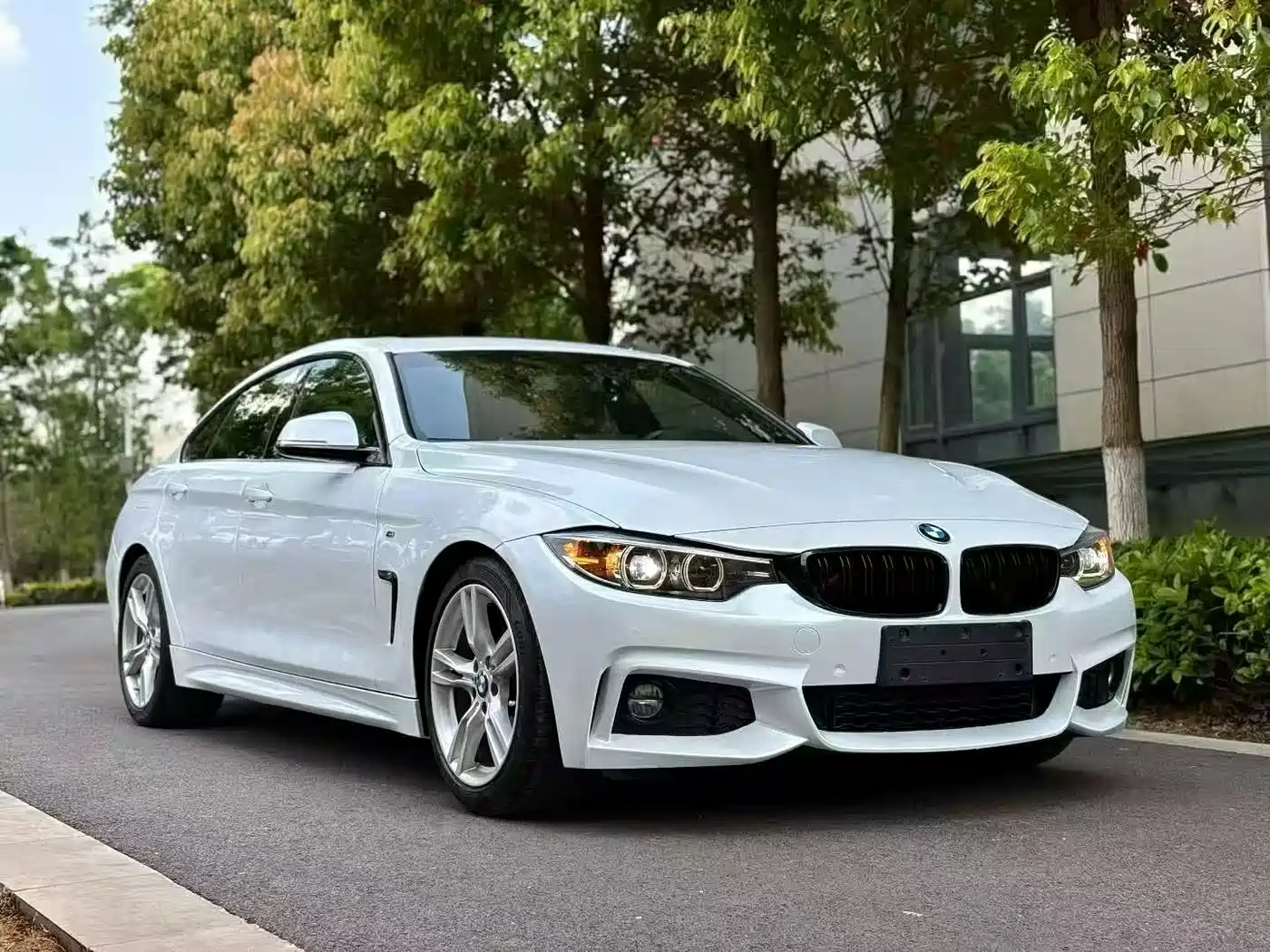 BMW 4 Series 2017 425i Gran Coupe Leading M Sport Package фото 3