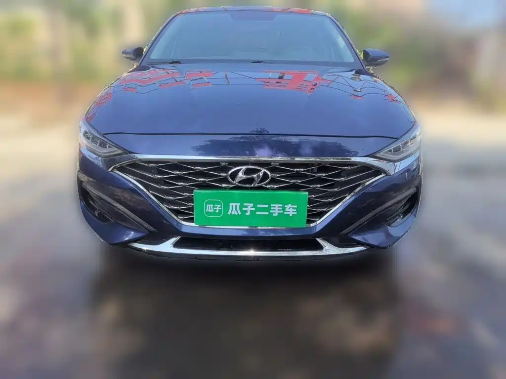 Photo 24 - Hyundai Lafesta
