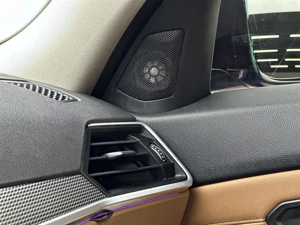 BMW 3 Series 2020 325Li M Sport Black Night Package фото 13
