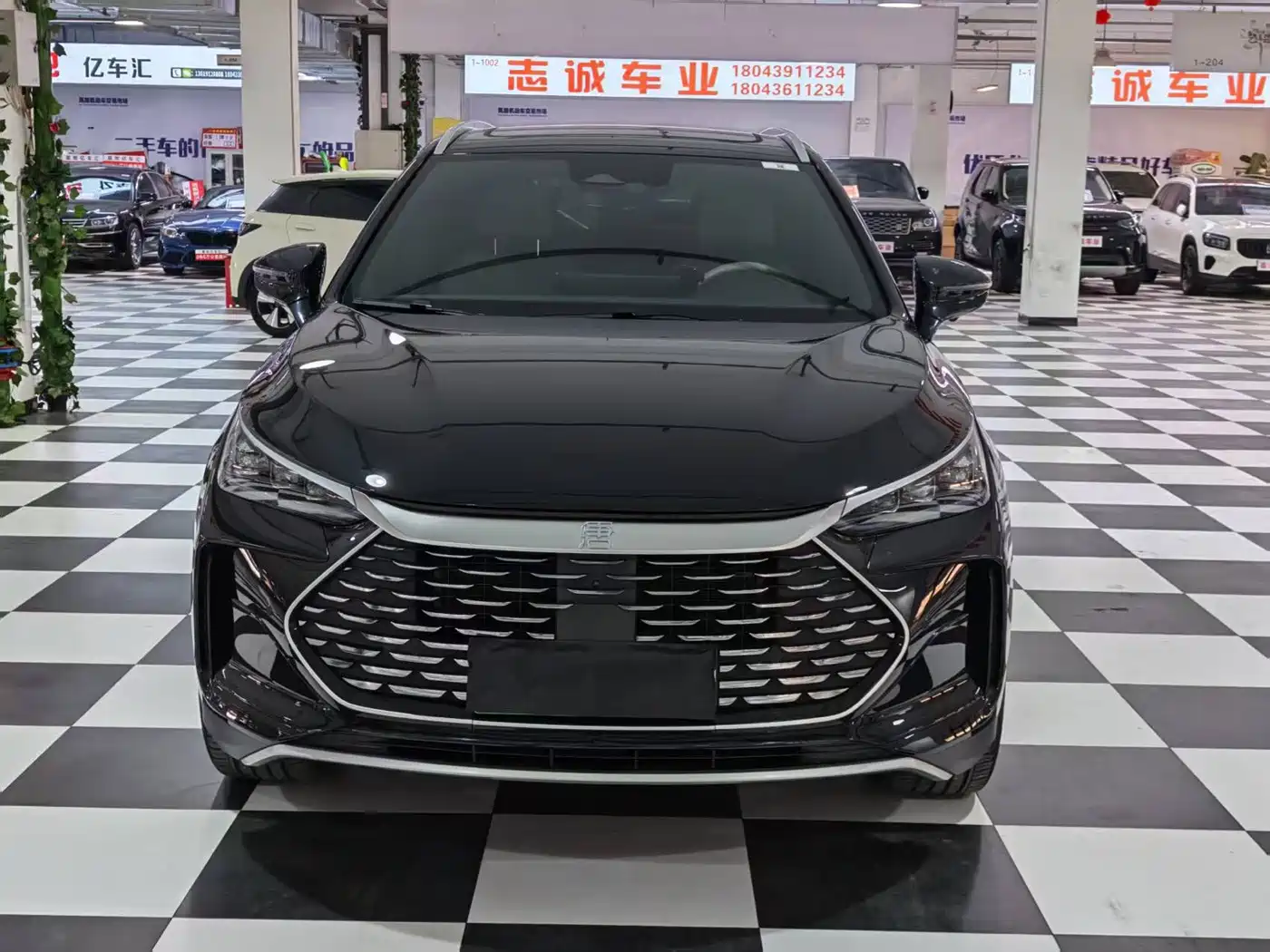 2025 BYD Tang New Energy