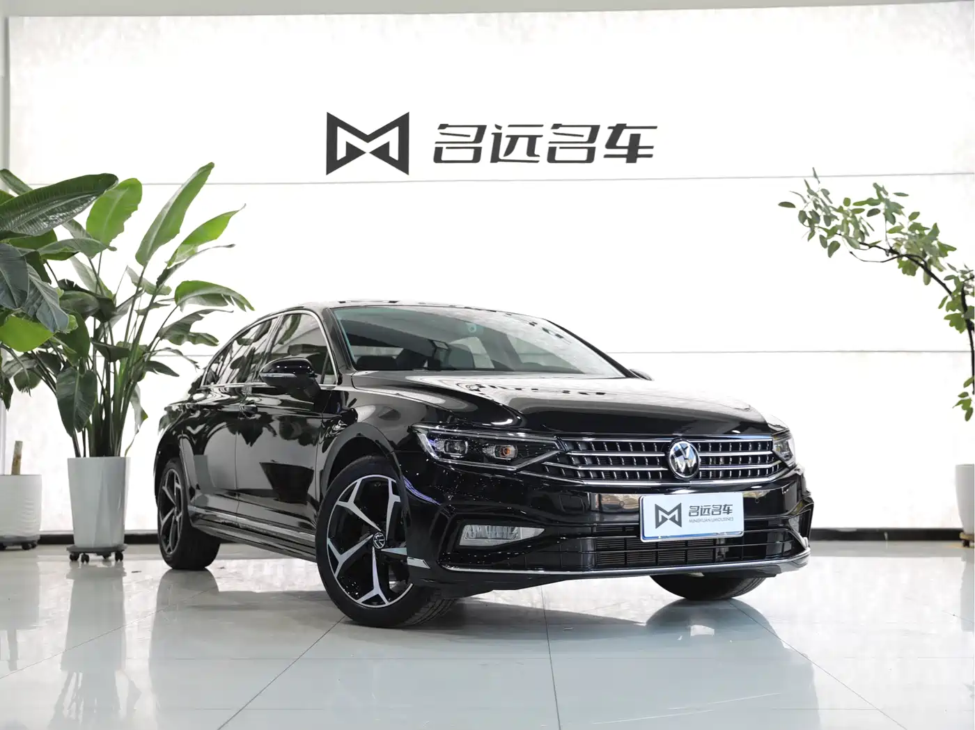 Volkswagen Magotan 2024 2 Million Units Public Sharing Edition 330TSI DSG Luxury фото 3