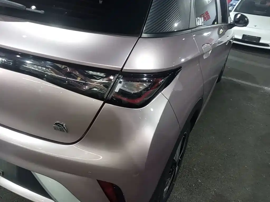 Фото 24 - BYD Dolphin