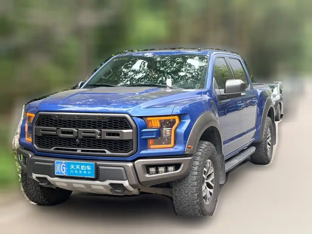 Ford F-150 Raptor 2017 2017 3.5T Raptor Performance Edition