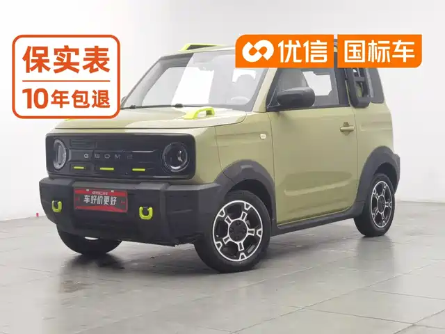 Geely Galaxy Panda, 2025
