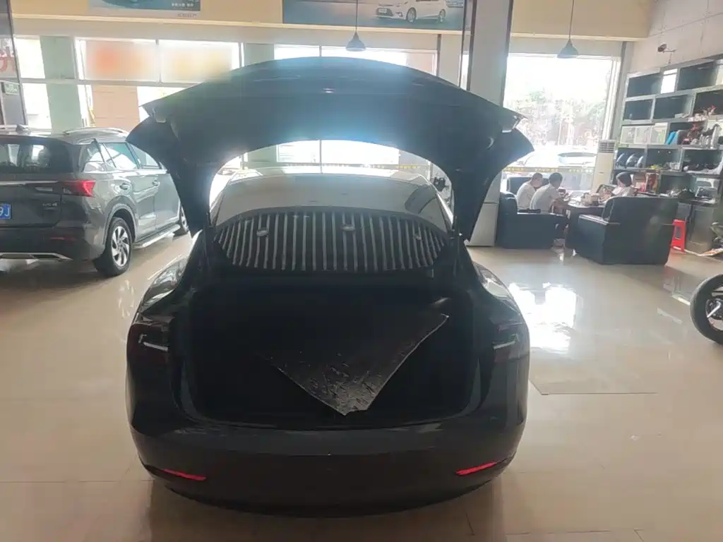 Tesla Model 3 2020 2020 Standard Range Rear-Wheel Drive Upgrade