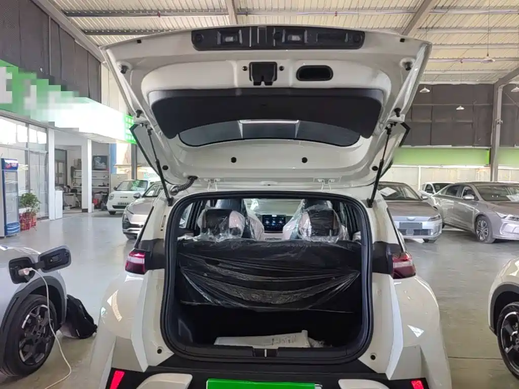BYD Seagull 2026 2025 Smart Drive Edition 305km Vitality Version