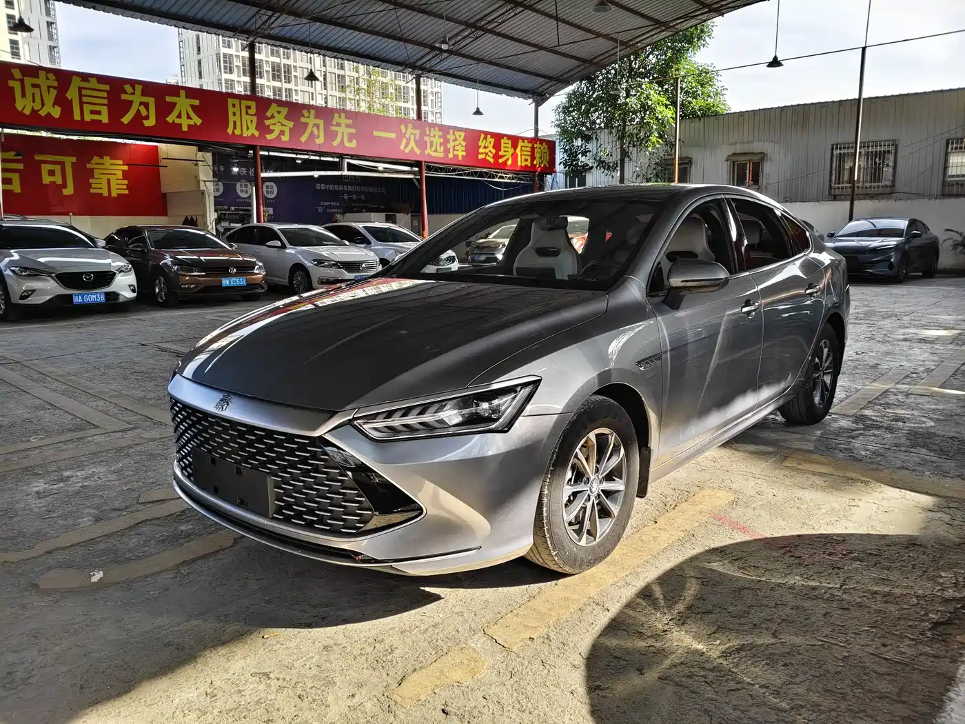 BYD Qin PLUS 2023 Champion Edition DM-i 55KM Leading