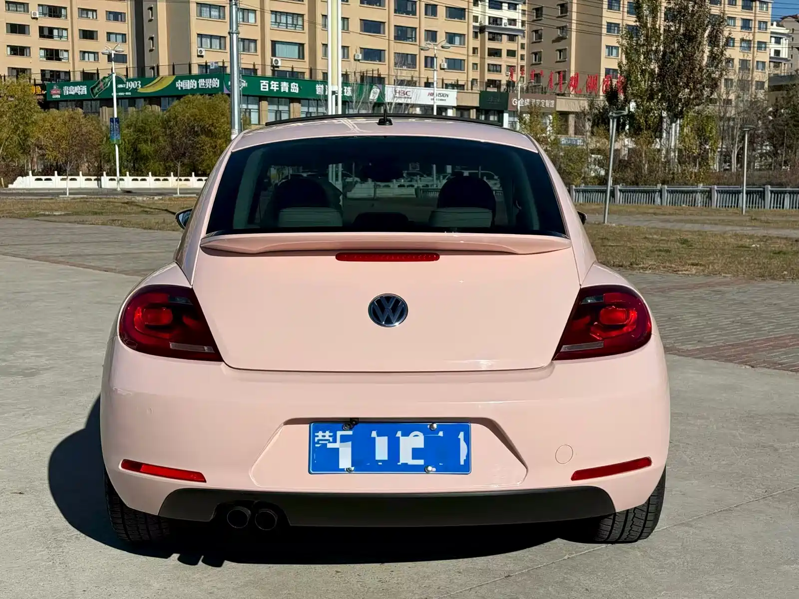 Photo 7 - Volkswagen Beetle