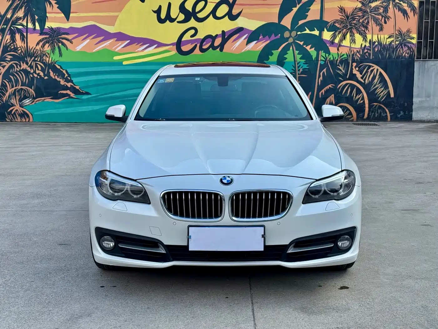 BMW 5 Series 2013 520Li Elegance фото 2