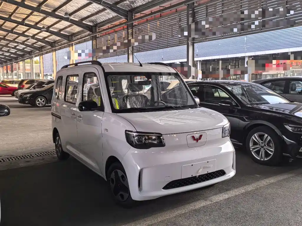 Wuling Motors Wuling Zhiguang NEV 2026 2025 Model 305km Base Version