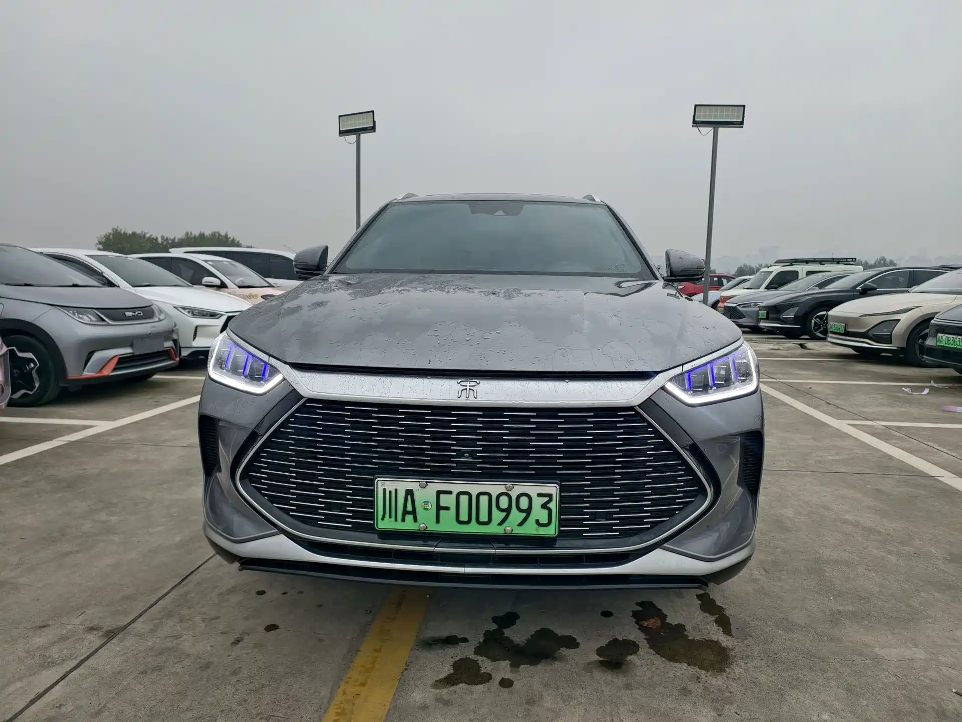Фото 2 - BYD Song PLUS PHEV